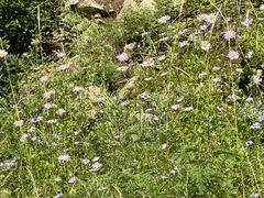 -小五台金河景区