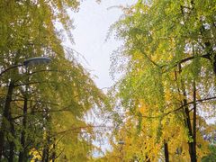 -四川大学(望江校区)