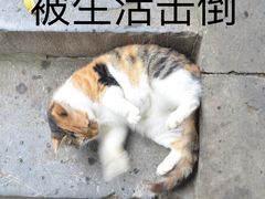 -谷田稻香·砂锅菜(南沙万达广场店)
