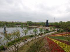 -上海鲜花港