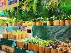 -曼格蒸汽活海鲜·榴莲自助(皇庭广场店)