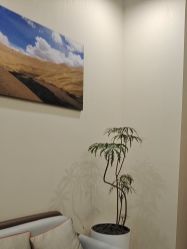 -北京米扬丽格医疗美容·联合丽格鼻整形中心