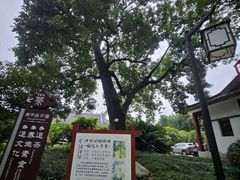 -青羊宫