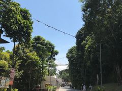 -圣淘沙天际线斜坡滑车