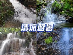 -南丹山森林王国
