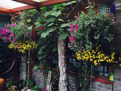 -百好乐宠物友好餐厅(朝外大街店)