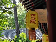 -明慧茶院(大觉寺路店)