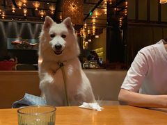 -THE CANNERY&JUJU 新鲜海鲜·牛排美食酒廊