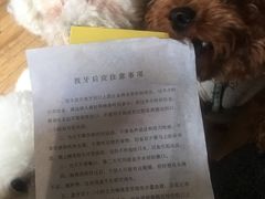 -上海市口腔医院(徐汇院区)