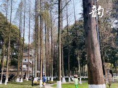 -温江公园