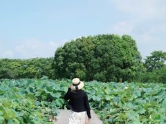 -梁鸿国家湿地公园