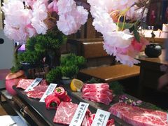 极上樱舞拼盘-樱宿日式和牛烧肉(五道口店)