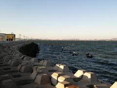 -东港音乐喷泉广场