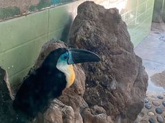 -辛玛王国游乐园