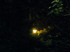 -峙山公园