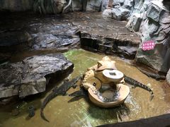 -泉城欧乐堡海洋极地世界