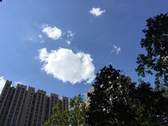 -马仕玖煲·融合菜·酥不腻烤鸭(人大店)
