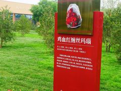 -北京大葆台遗址博物馆