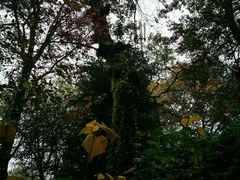 -兴福老面馆(寺路街店)