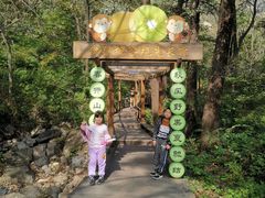 -大岭沟猕猴桃谷风景区