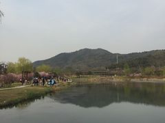 -石塘人家