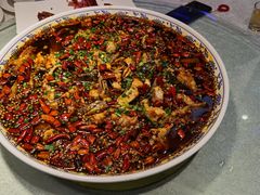 -新概念来凤鱼(璧山店)