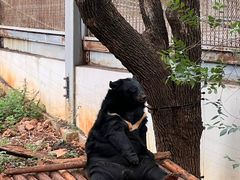 -昆明动物园
