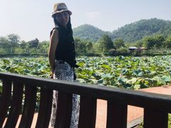 -红山村