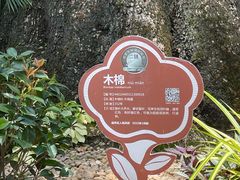 -广州中山纪念堂