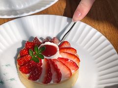 -猫里有甜