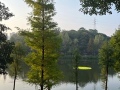 -重庆彩云湖湿地公园