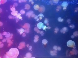 -深圳春天阳光医院·轮廓抗衰中心