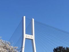 -陆家浜路(地铁站)