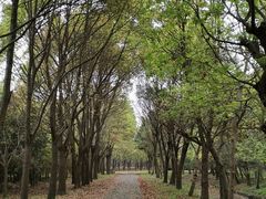 -嘉北郊野公园