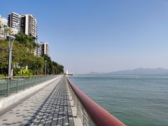 -深圳湾公园(南山区)