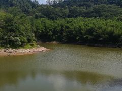 -滴水岩森林公园