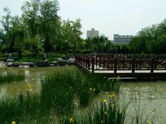 景点-丰台科技园生态主题公园