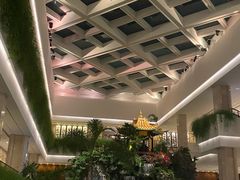 -广州白天鹅宾馆