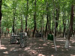 -亲兄弟真人CS团建拓展基地