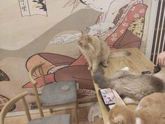 -Let's go狗咖·猫咖·奶狗·桌游(春熙路IFS店)