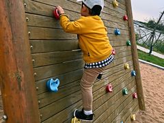 -武清南湖绿博园