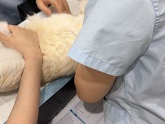 -四月宠物医院·猫专科·心脏专科·内科(转塘店)