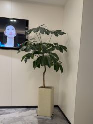 -武汉美莱整形美容医院