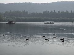 -西湖游船