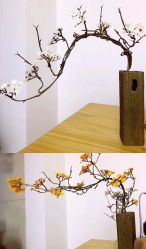 -酉嘉瑜伽YO+YOGA