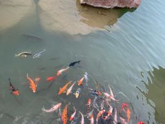 -小绿谷公园