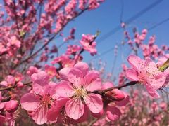 -济南国际园博园