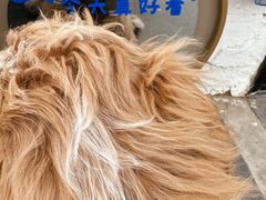 -小意思咖啡店(草桥店)