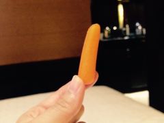 -西安赛瑞喜来登大酒店