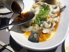 清蒸红斑鱼-徐记海鲜(大明宫|北二环店)